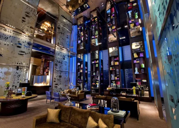 Heli Ski - W Hotel - Image 5