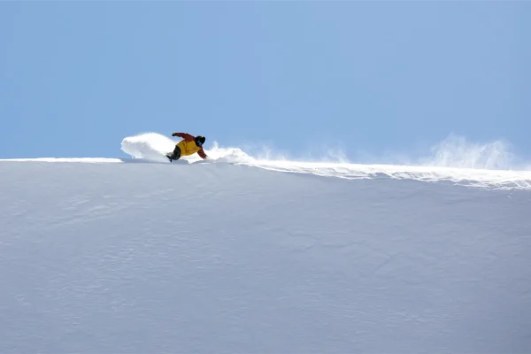 Heli Ski - W Hotel