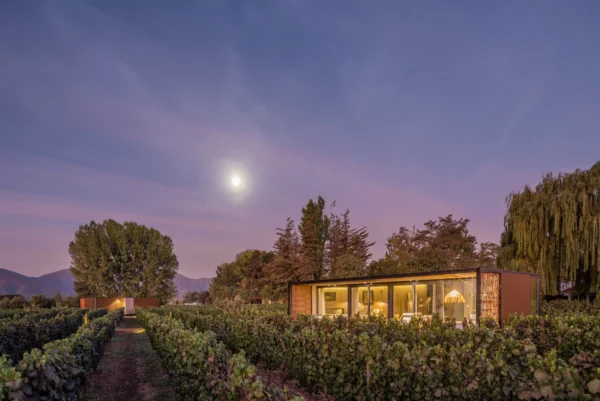 Epic Yoga - Vibo Wine Lodge - Image 6