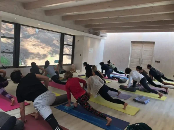 Epic Yoga - W Hotel - Image 3